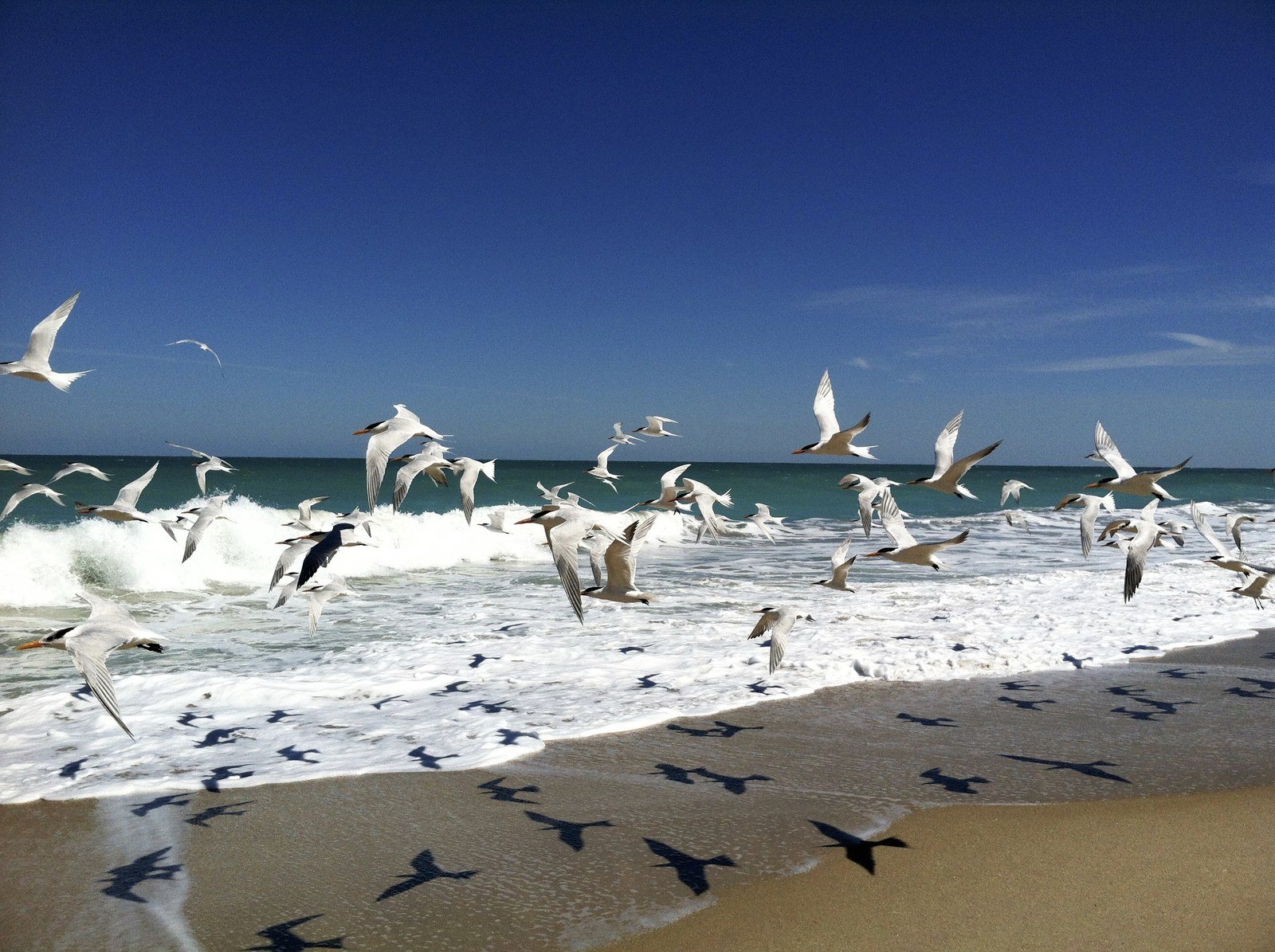 Beach Walks