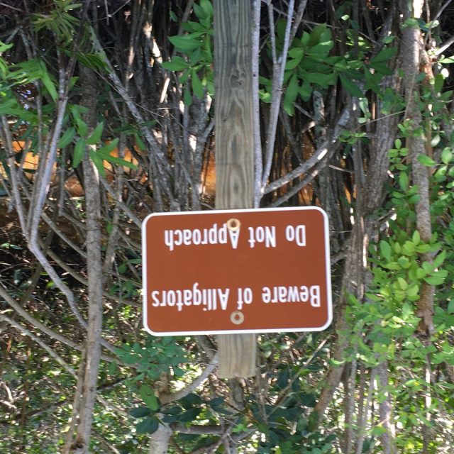 Tread Lightly, And No Open-toed Shoes...