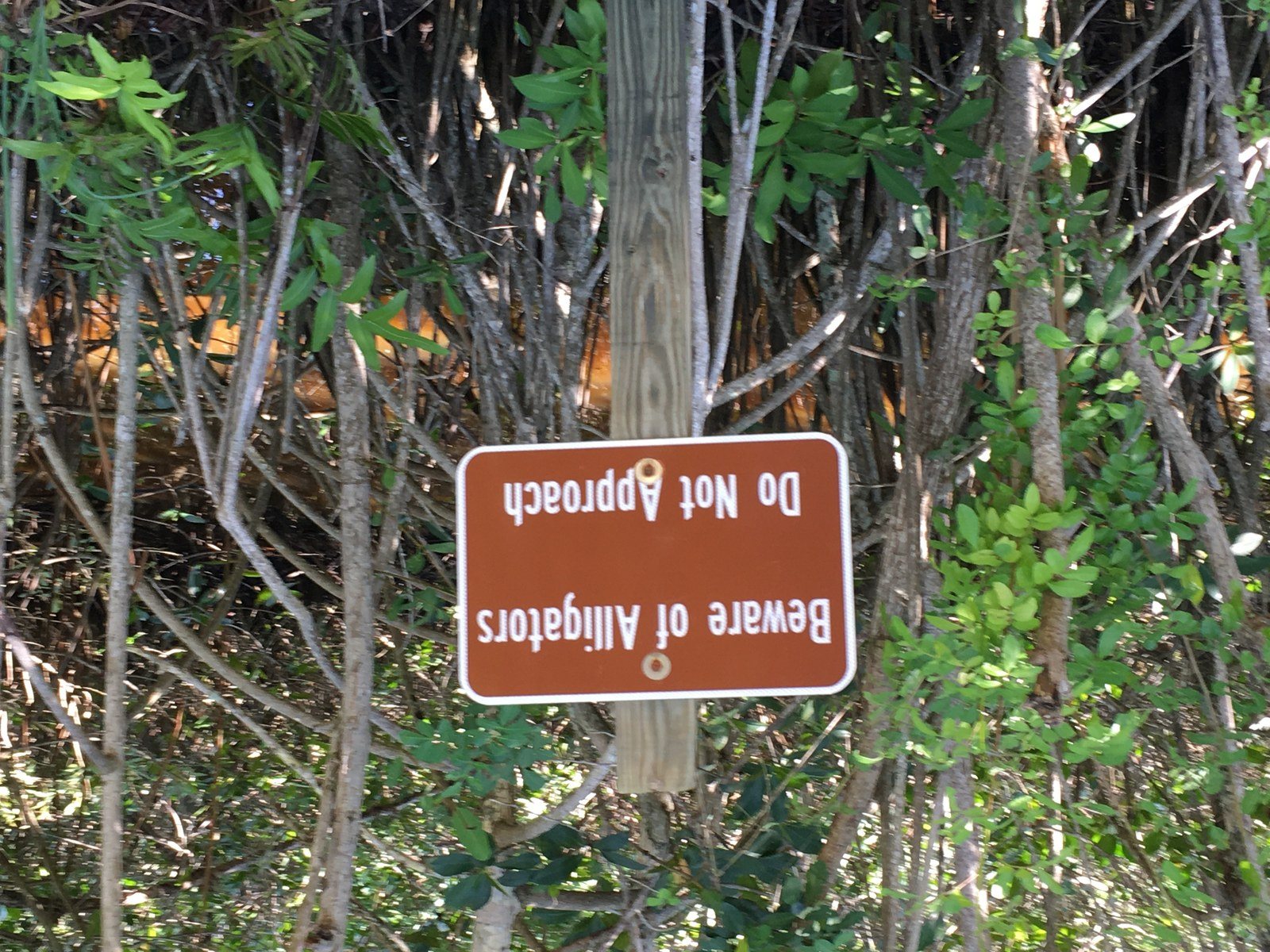 Tread Lightly, And No Open-toed Shoes...