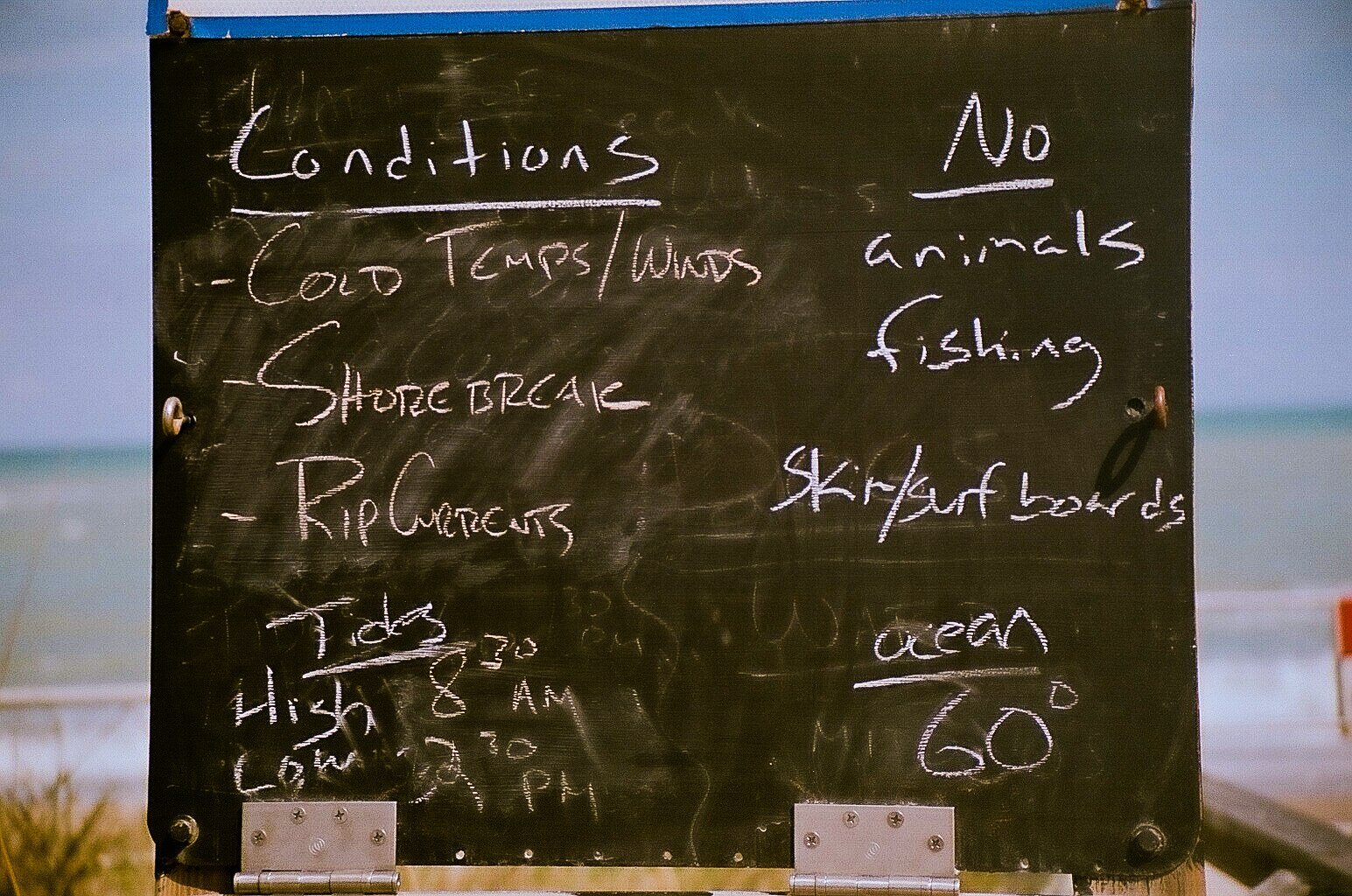 Surf Conditions