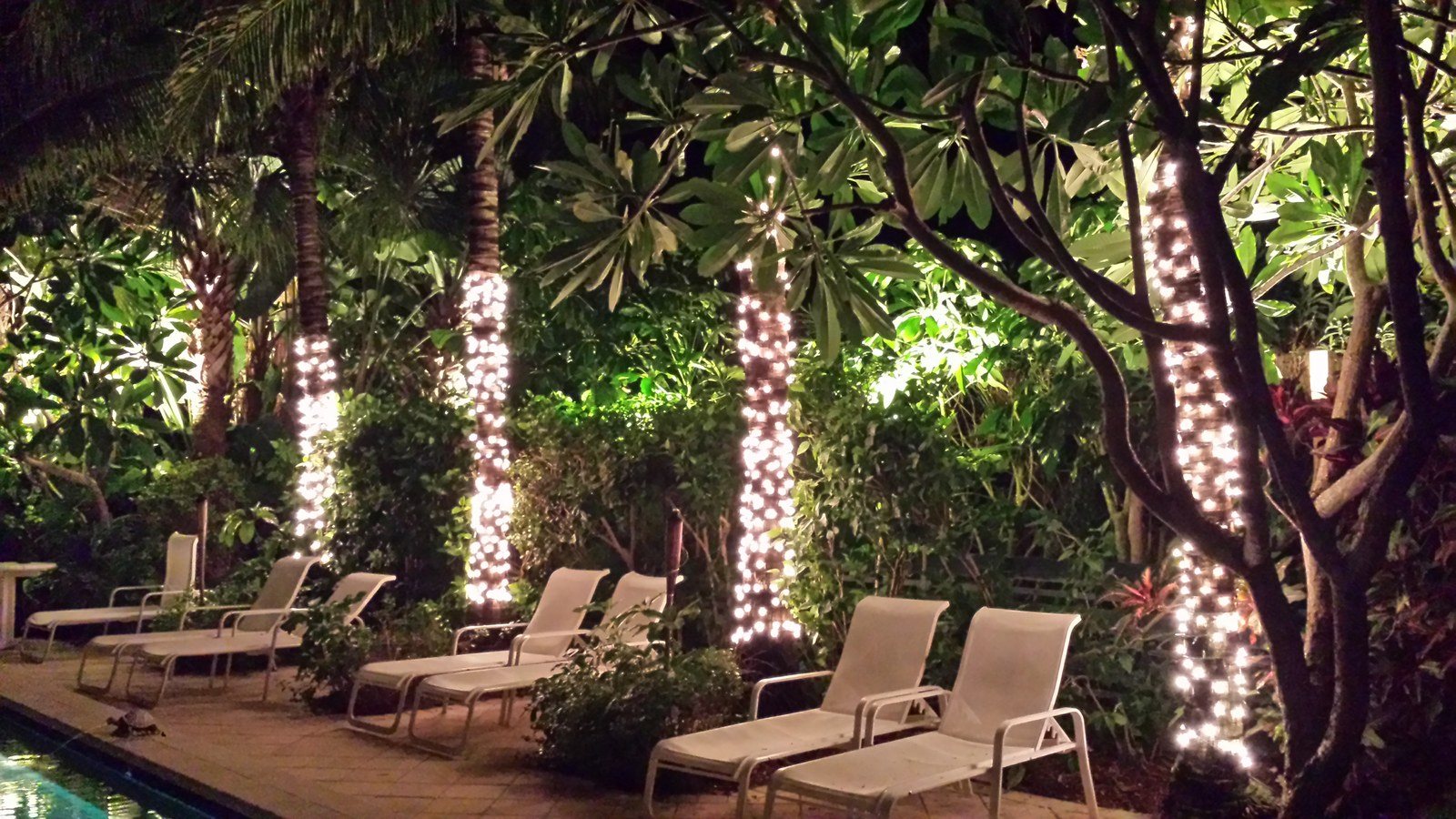 The Palms Of Caribbean Court