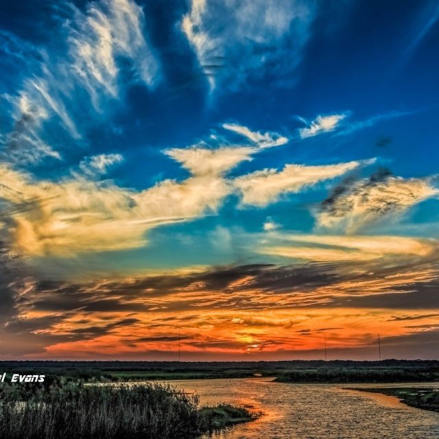 "St. John's River"