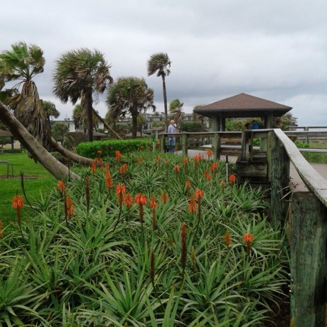 Boardwalk