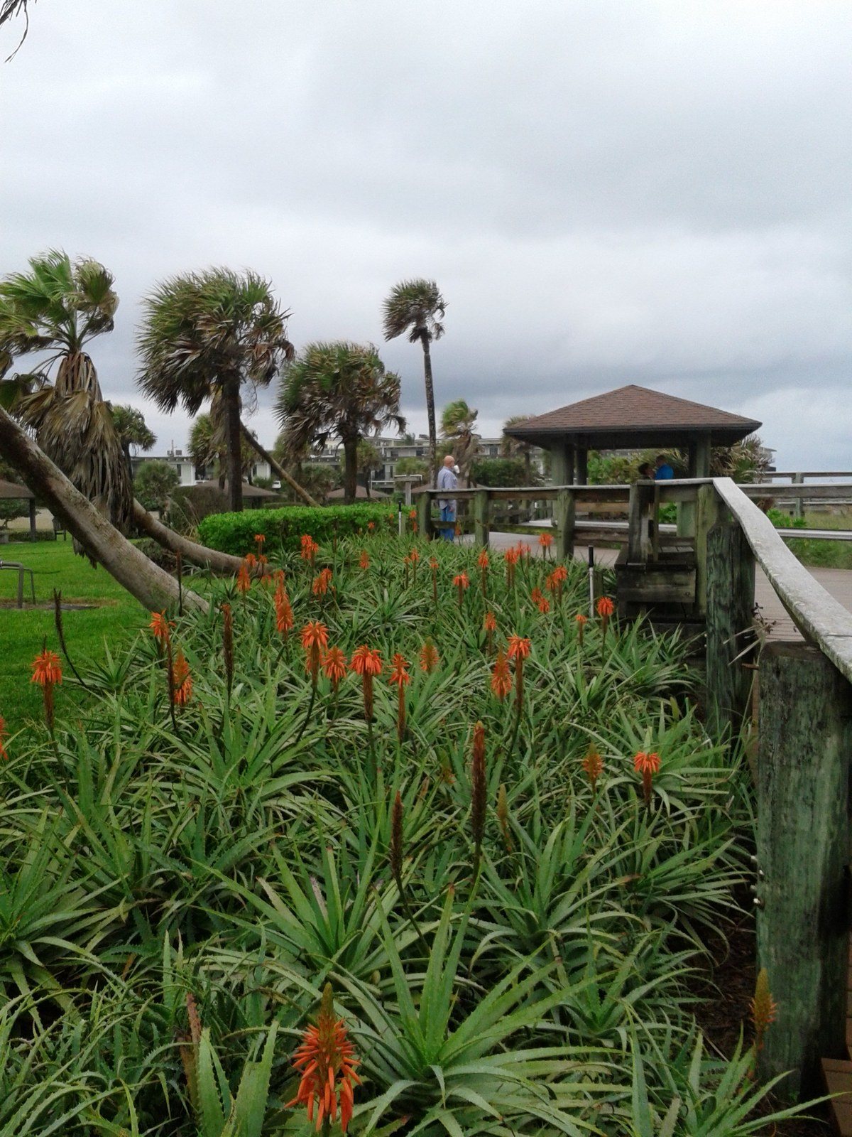 Boardwalk