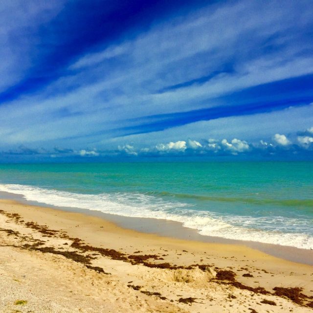 Blessed To Live In Vero