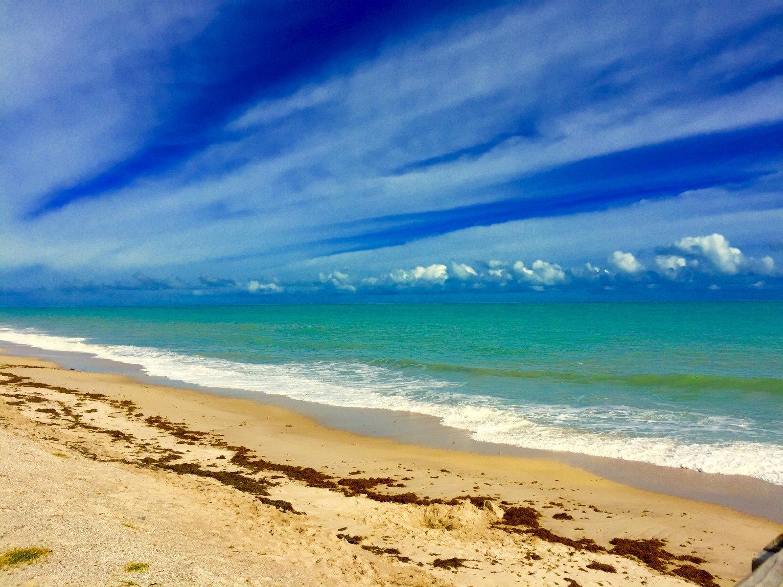 Blessed To Live In Vero