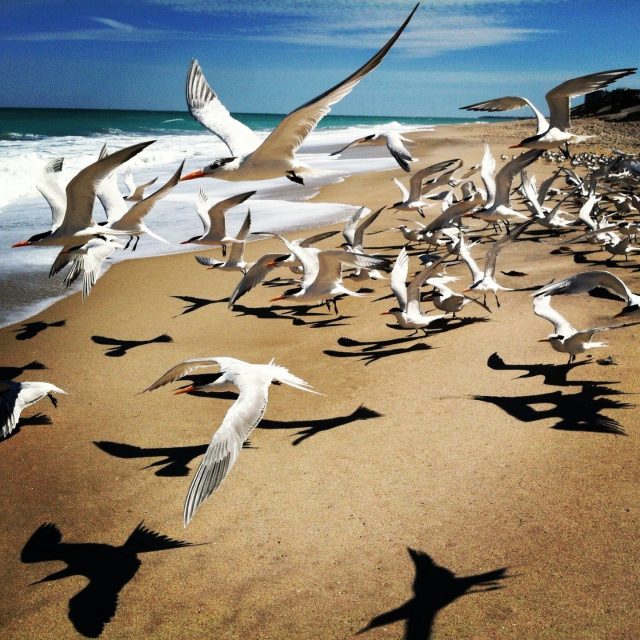 Beach Walk