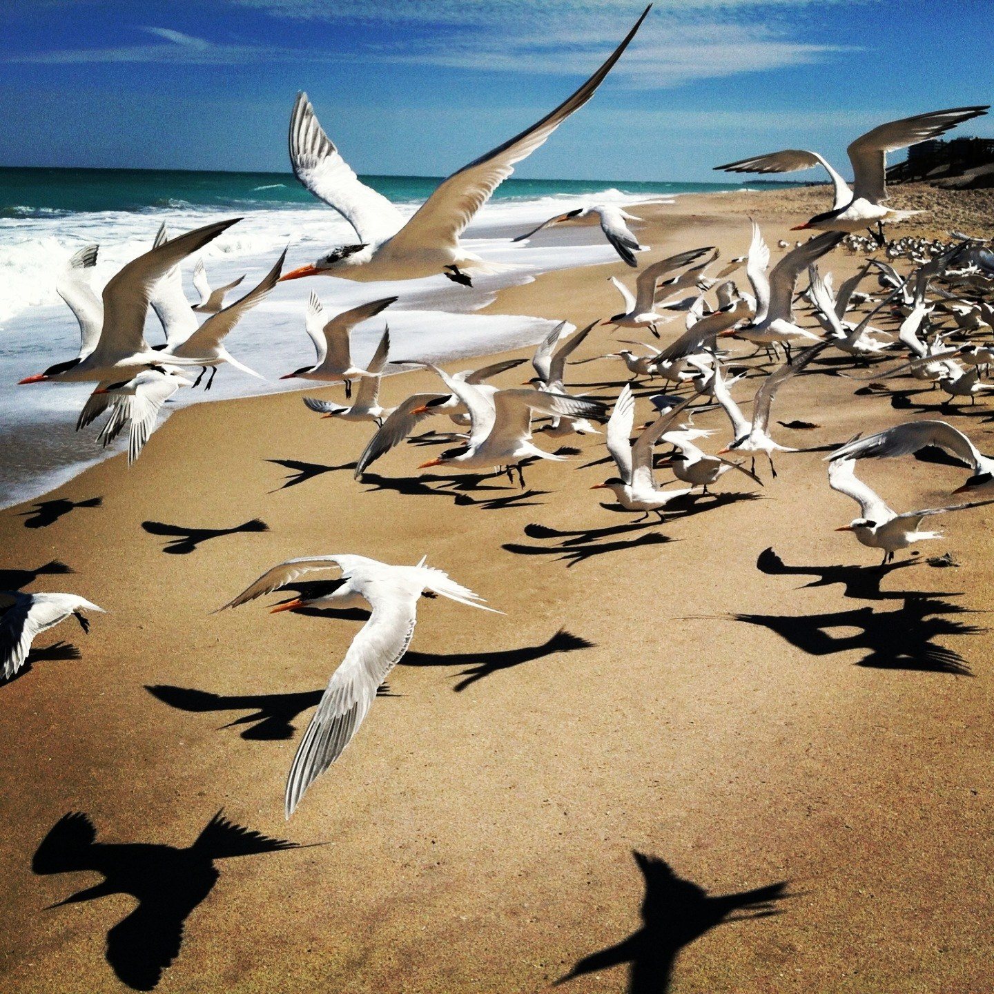 Beach Walk