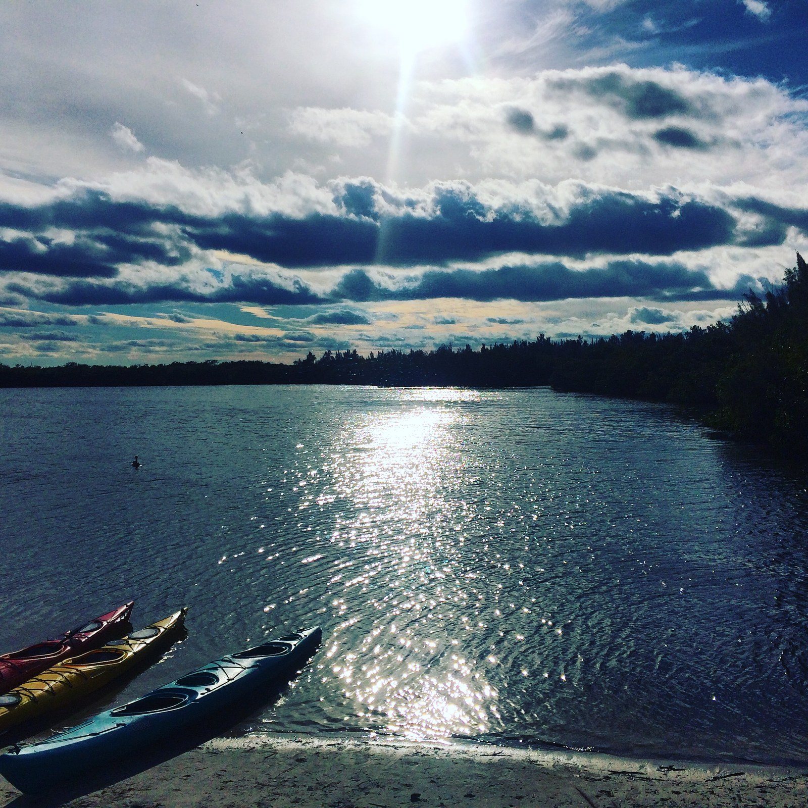 Afternoon At Round Island