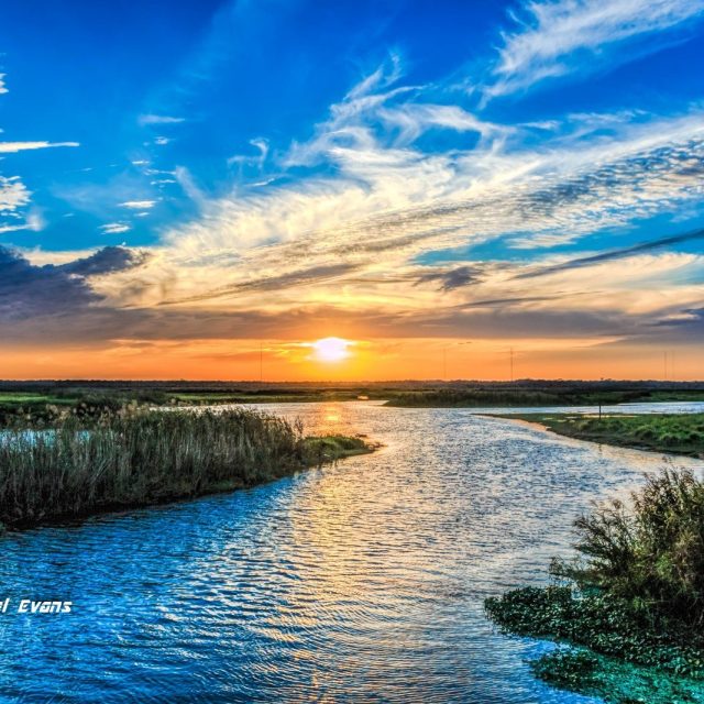 "St. John's Marsh"