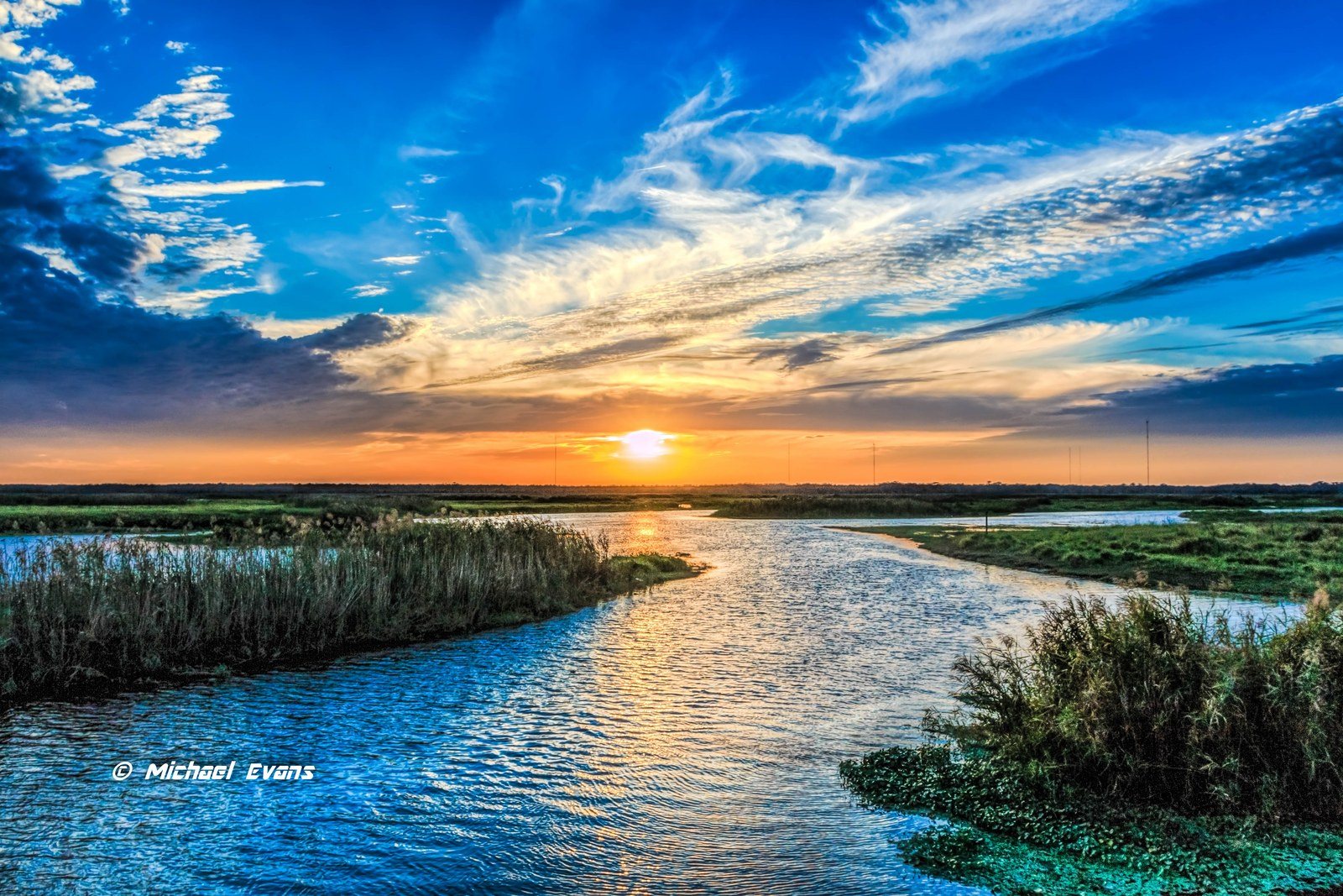 "St. John's Marsh"