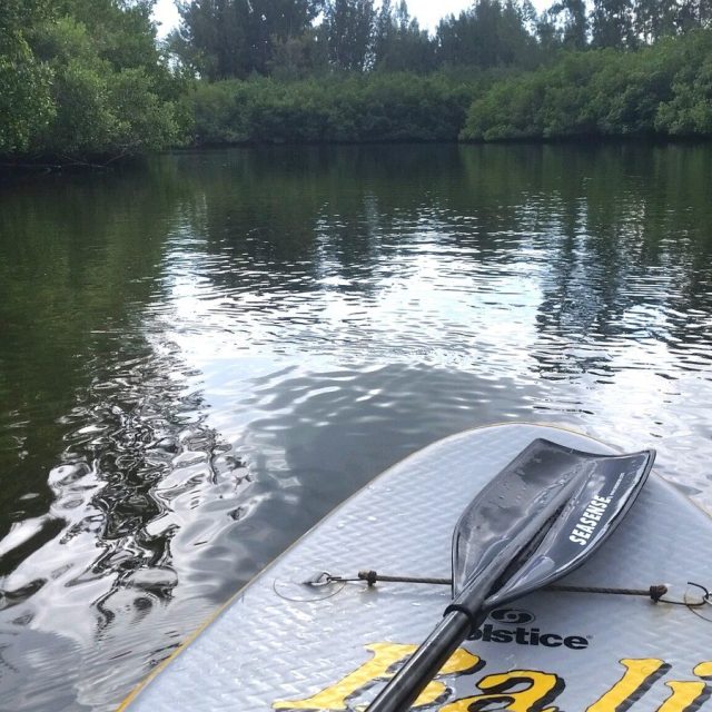 Paddling
