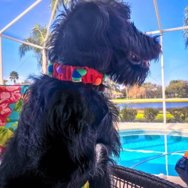 He Loves Vero's Lifestyle