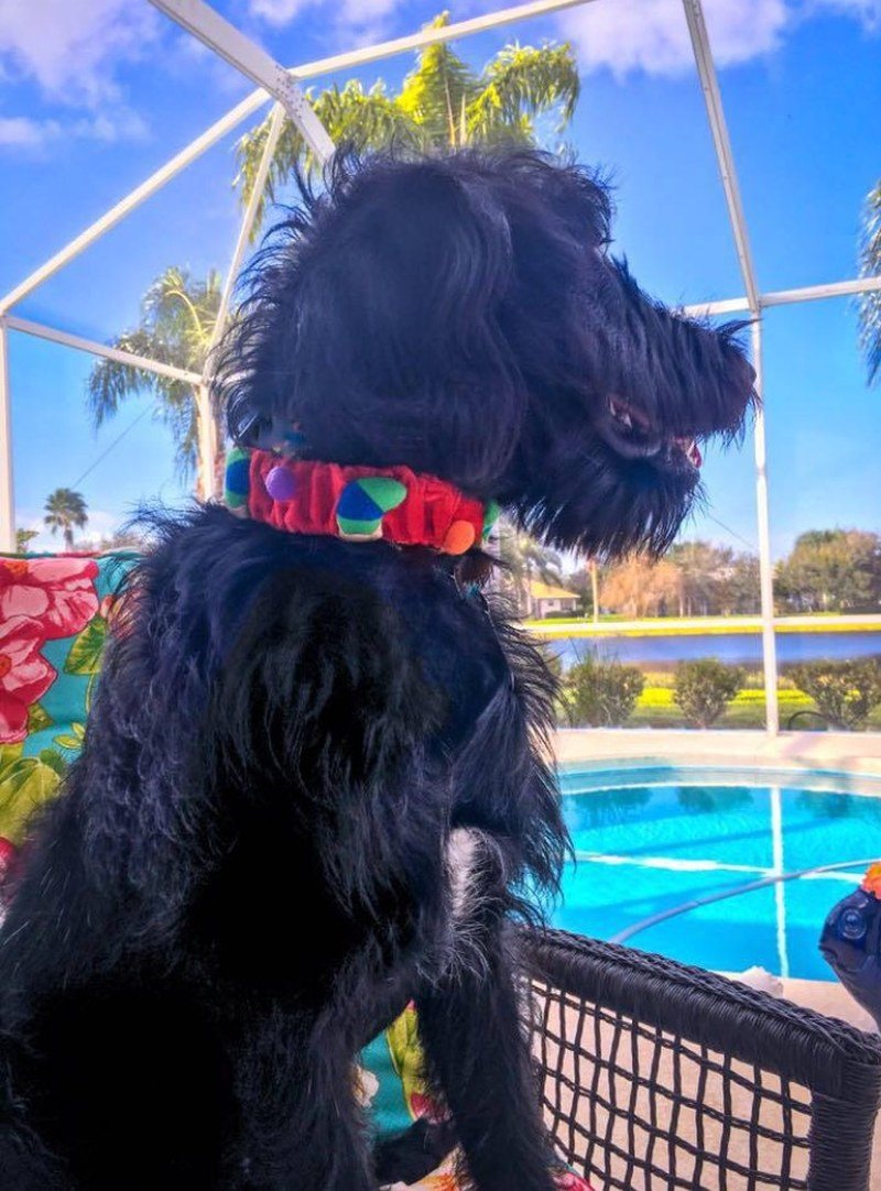 He Loves Vero's Lifestyle