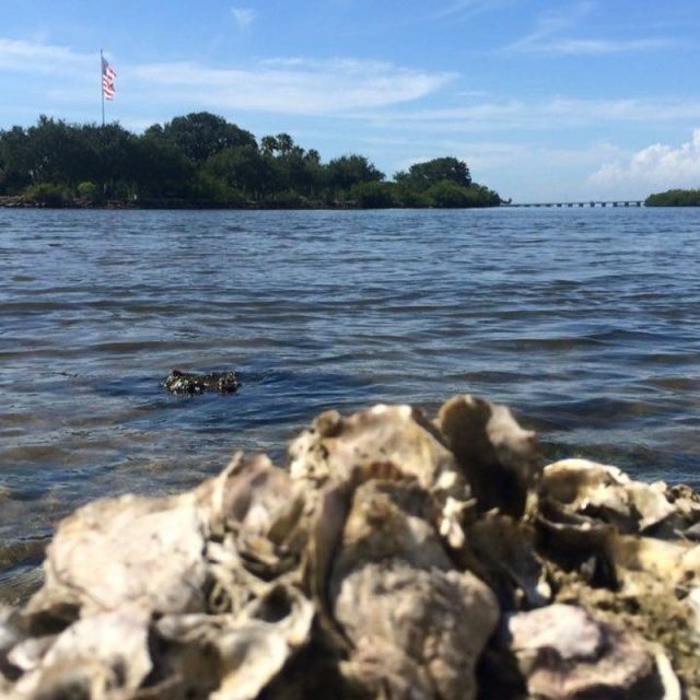 Memorial Island