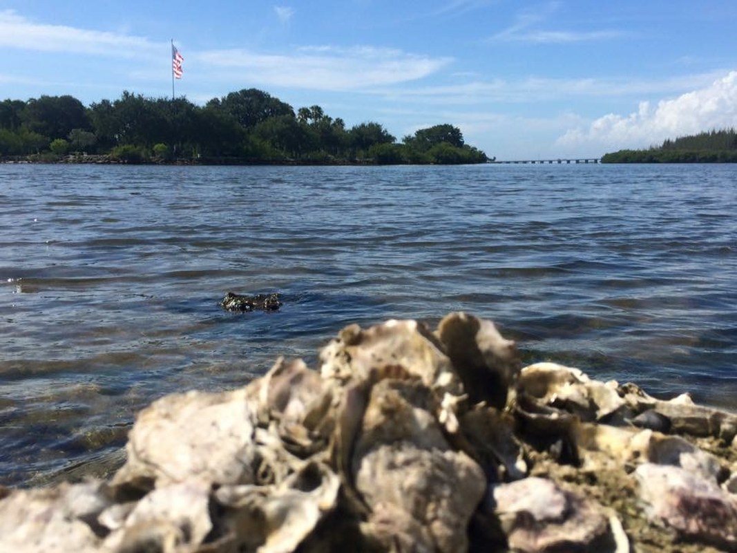 Memorial Island