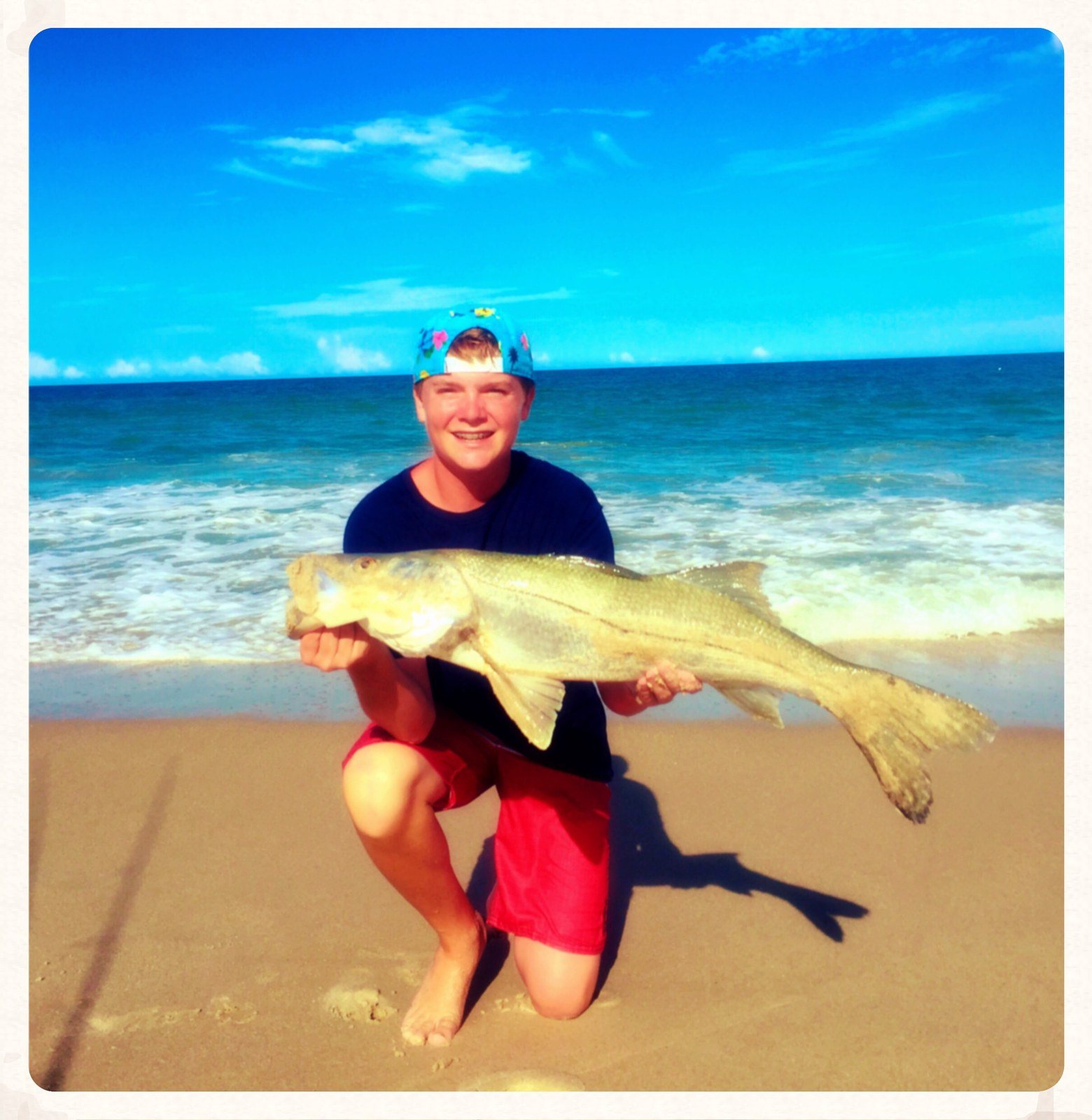 Got Snook
