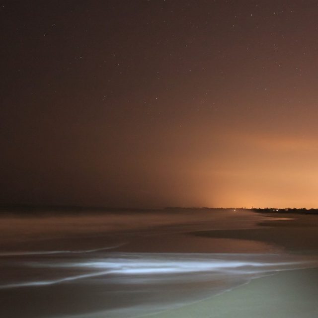 An Evening At South Beach