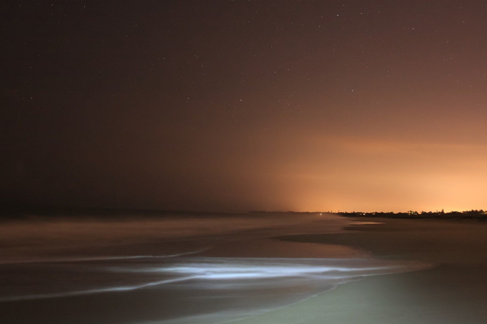 An Evening At South Beach