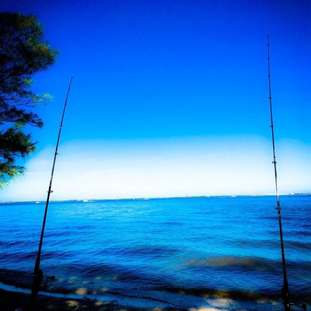 Perfect Fishing Day!