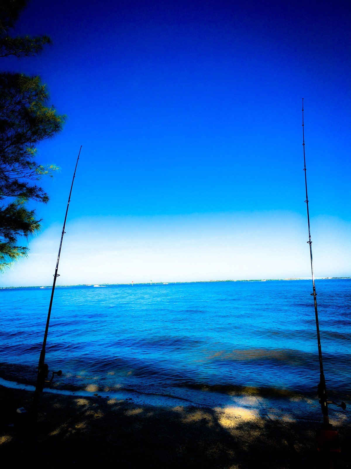 Perfect Fishing Day!