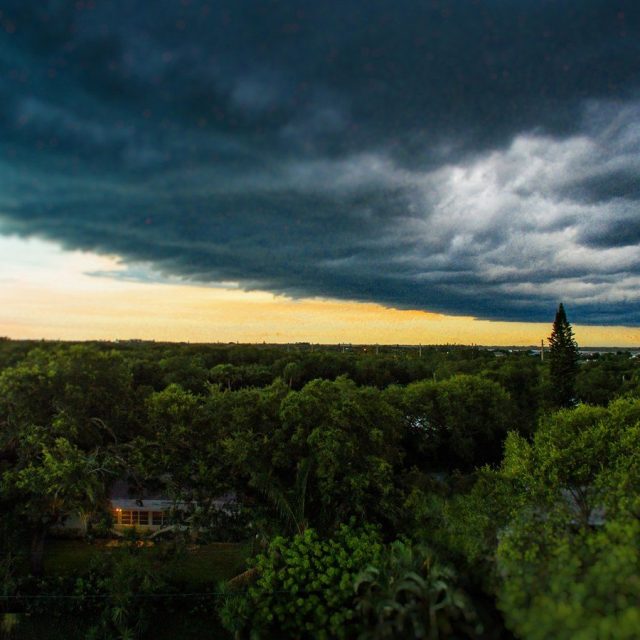 Light In The Storm