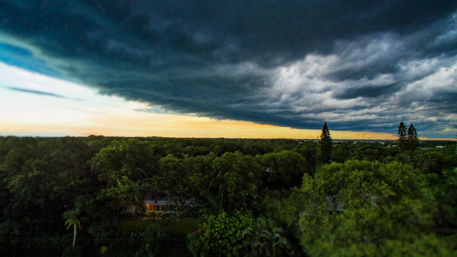 Light In The Storm