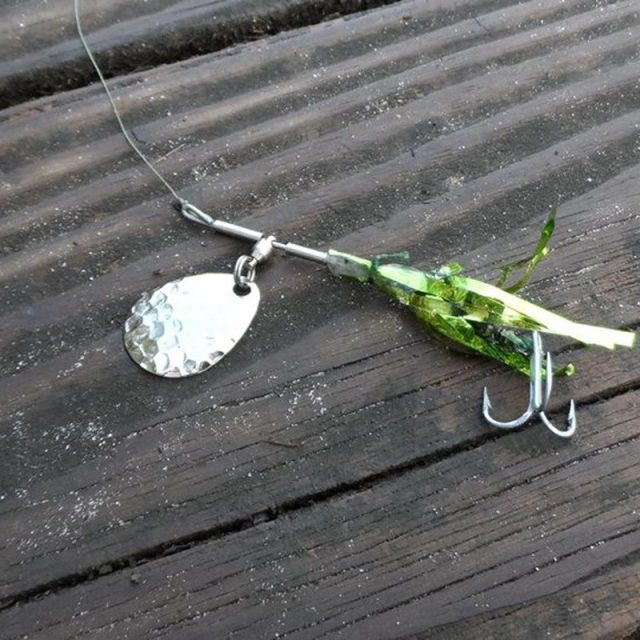 Spinner Bait