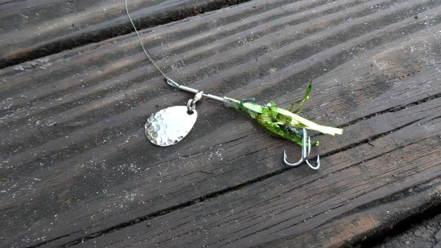 Spinner Bait