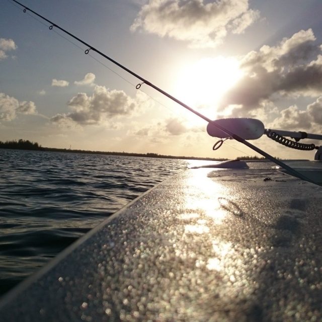 Lagoon Relaxin'