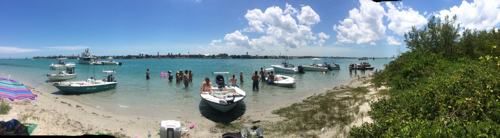 Island Life