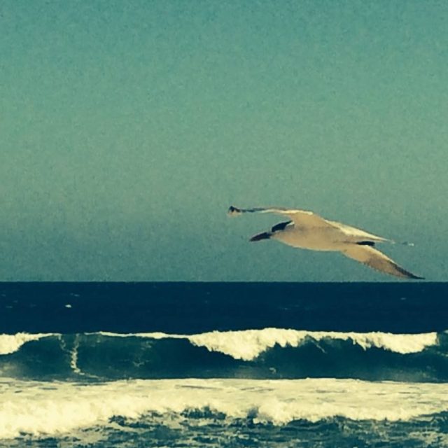 In Flight