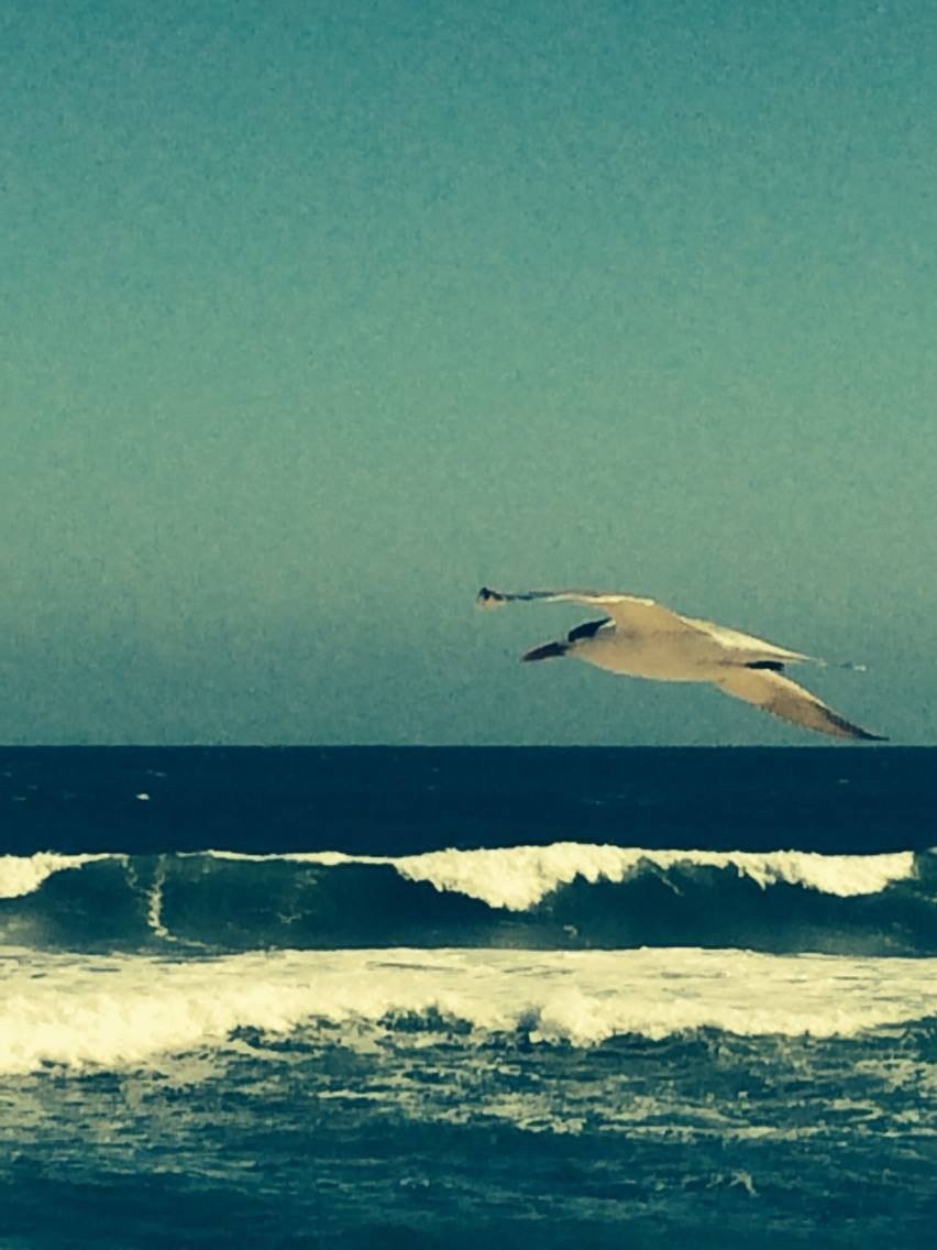 In Flight