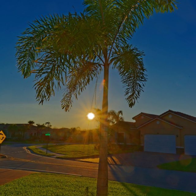 Sunset On A Cool Winter Day