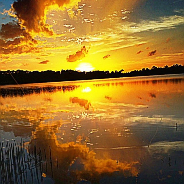 My Serenity