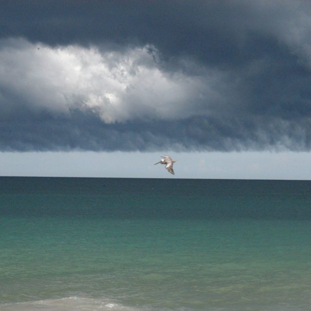 Headed For Cover