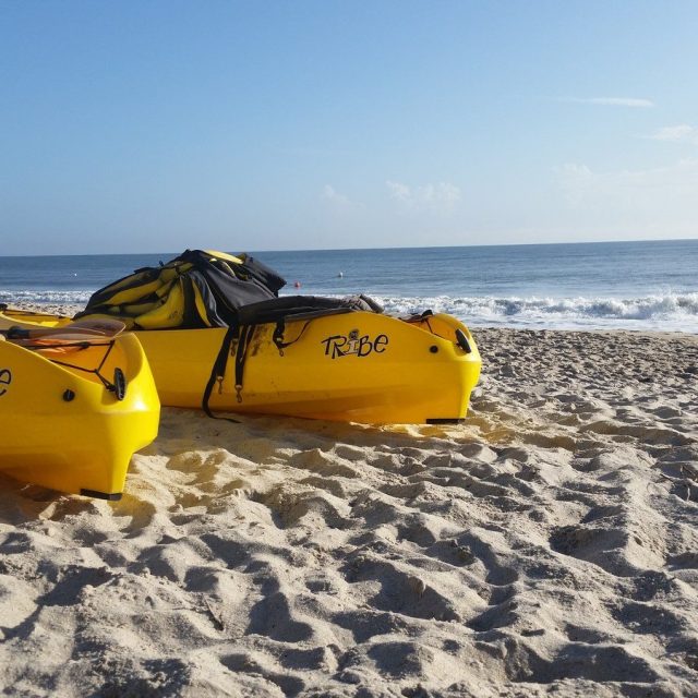 Just Another Day Livin In Vero