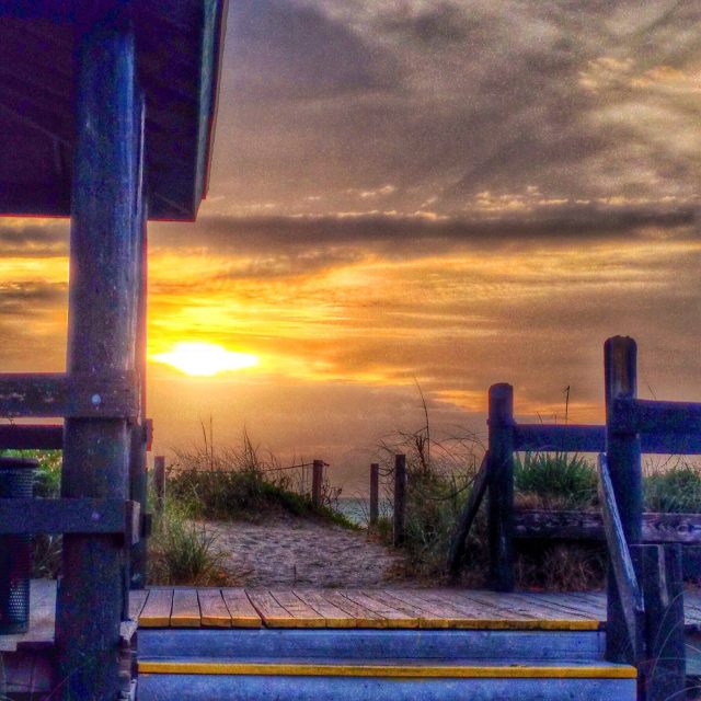 Beach Life