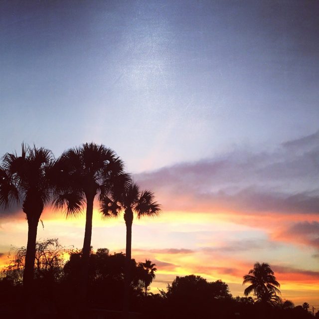 Sunset In December