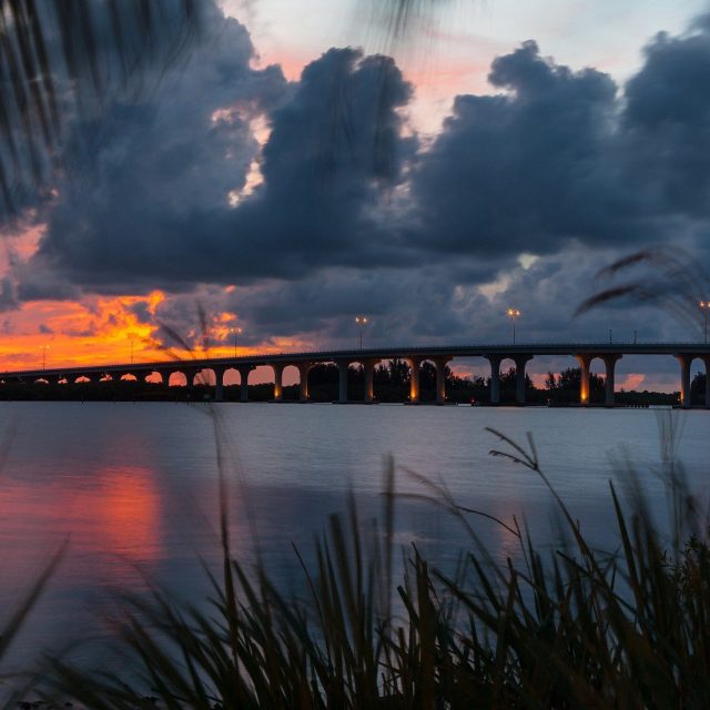 The Bridge