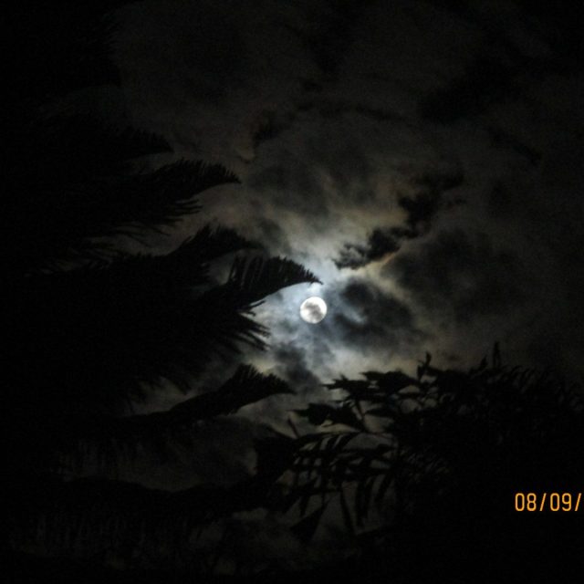 Midnight In Vero