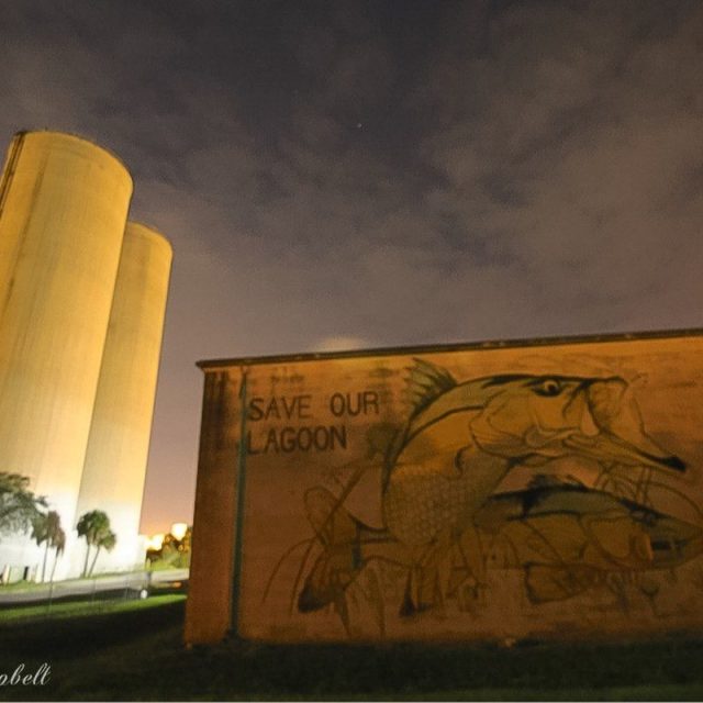 Save Our Lagoon