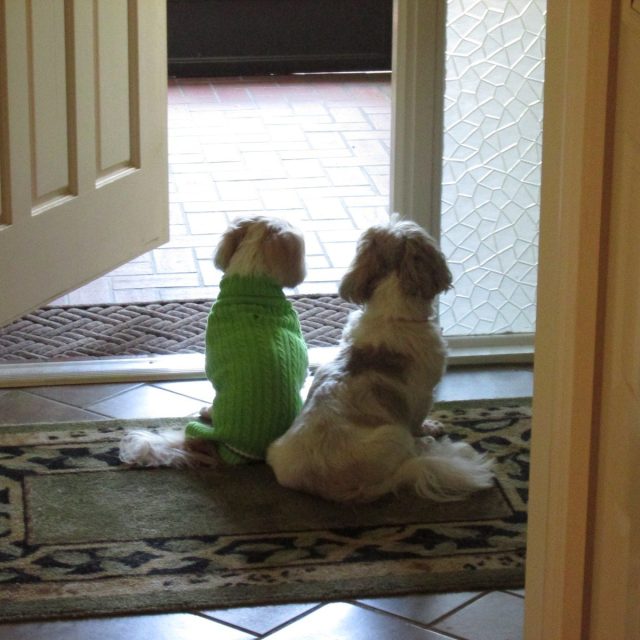 Waiting For Someone