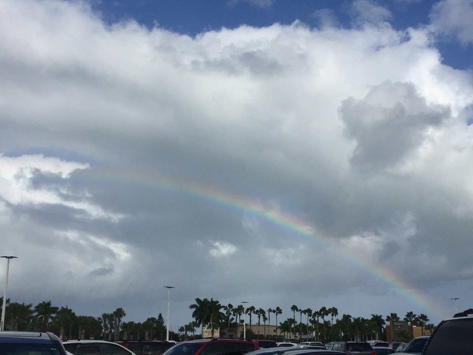Rainbow Over Vero Beach