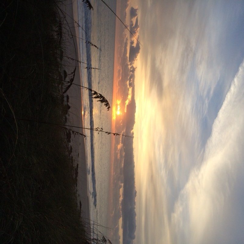Sunset And Sea Oats
