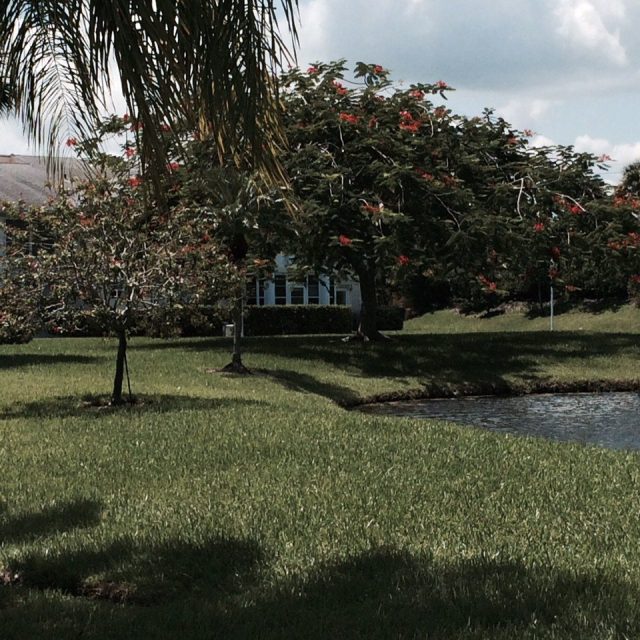 Grove Isle