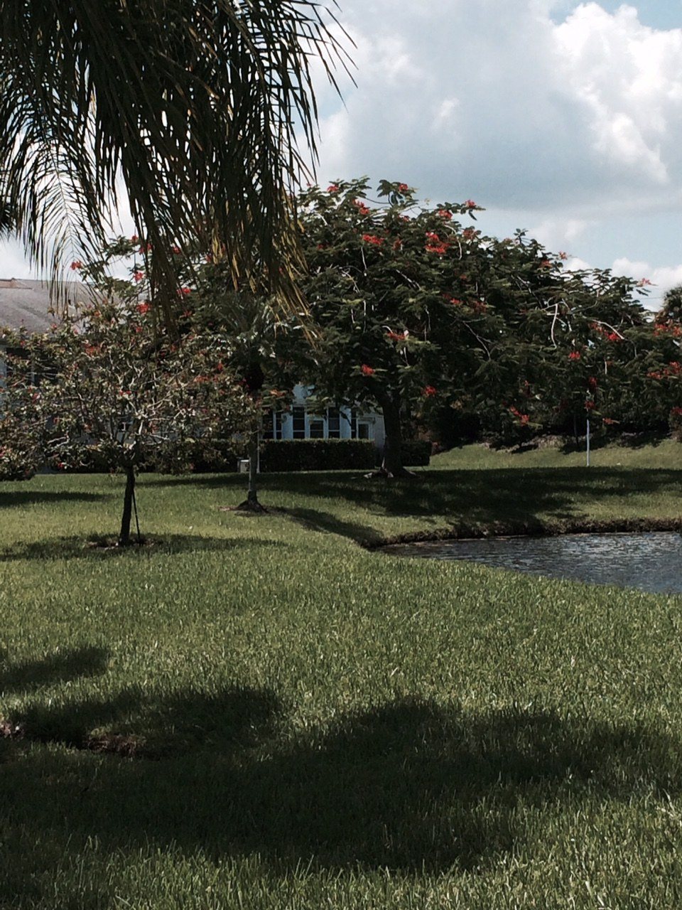 Grove Isle