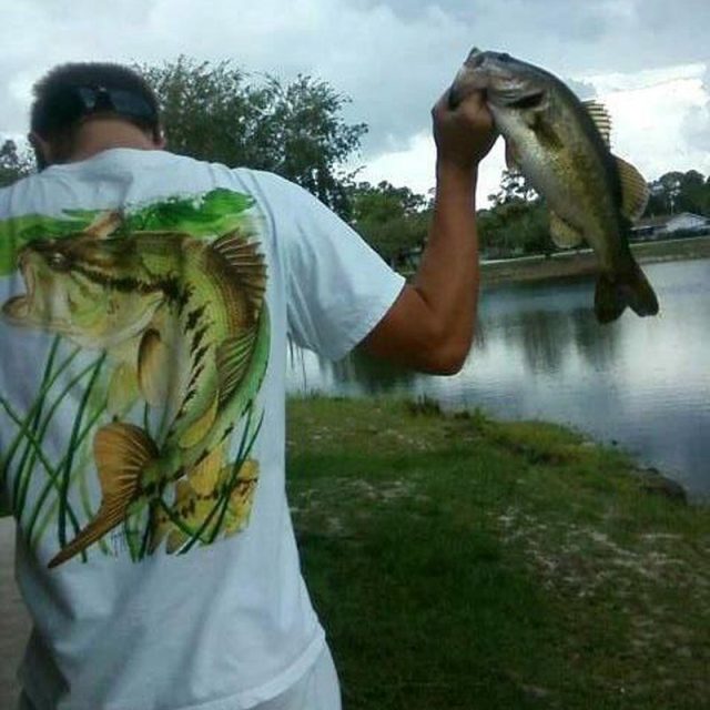 Bass Master