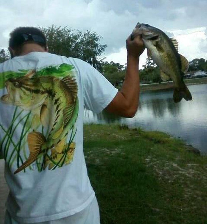 Bass Master