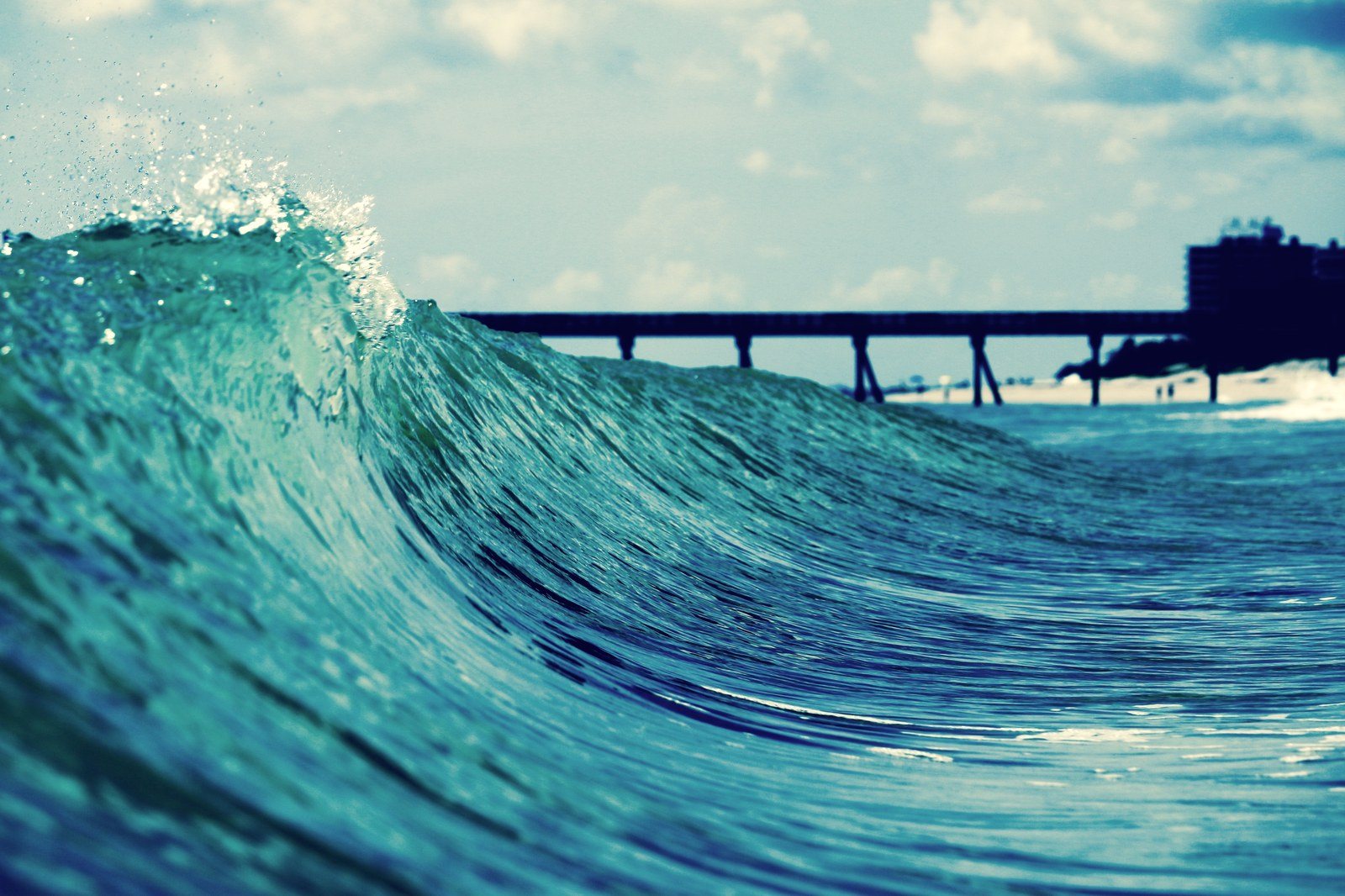 Paradise